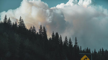 How to Remove Wildfire Smoke Smell from Your Home