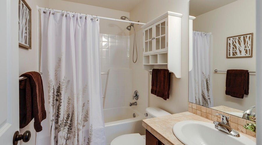 How to Get Rid of Mold From Every Home Surface