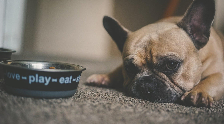 House Smell Funny? Check These 6 Problem Areas