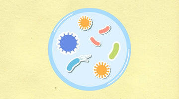 What are Pathogens? 3 Types and How They Spread Disease