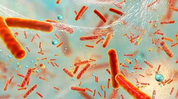Vital Oxide VS Bacterial Biofilm