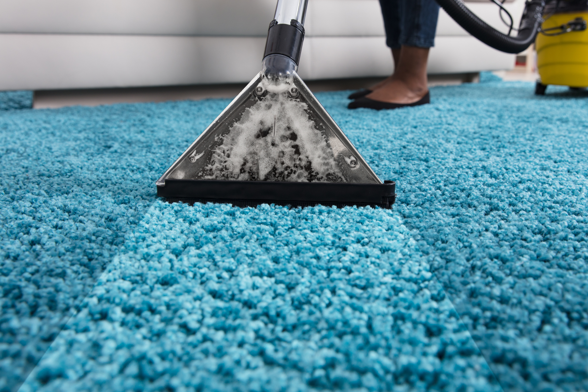 best carpet cleaner for urine removal