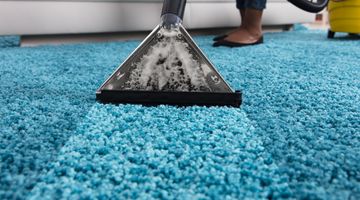 How Professionals Clean Pet Urine from Carpet