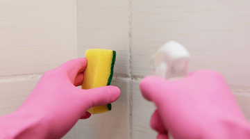 The Basics of Mold Removal