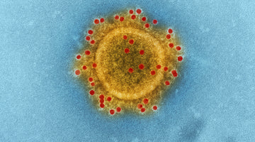 2019 Novel Coronavirus: Facts & Prevention Tips