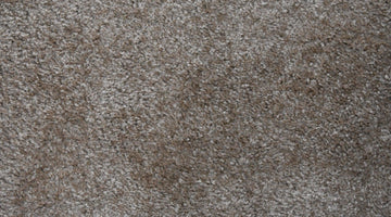 The Best Ways to Treat & Prevent Carpet Mold