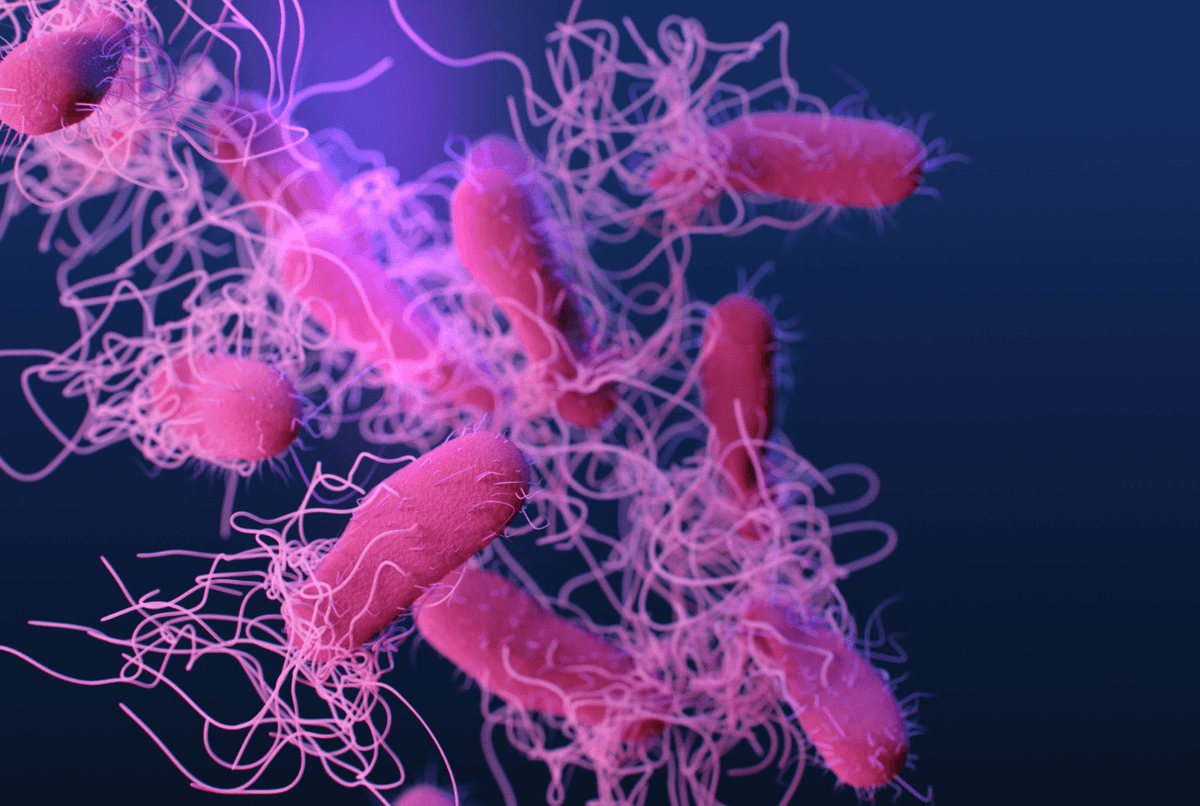 How Can Salmonella Infections Be Prevented? VITAL OXIDE